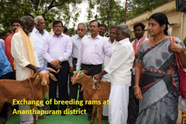 Centre for Continuing Veterinary Education and Communication,Tirupati